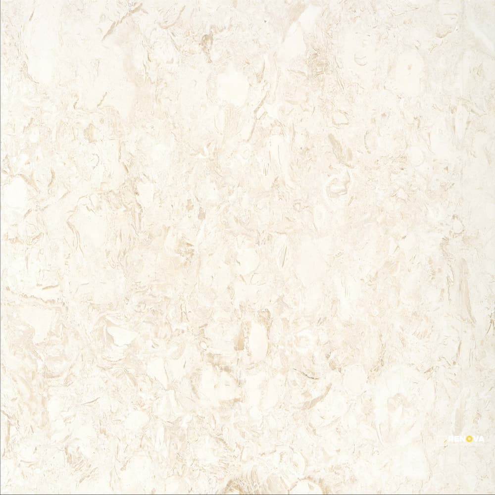 EXTERO SHELL BRUSHED 5CM COPING 16X24
