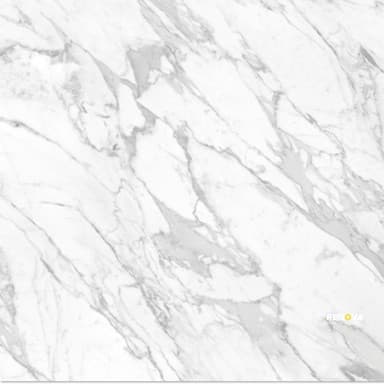 VIENNA POLISHED 24X24