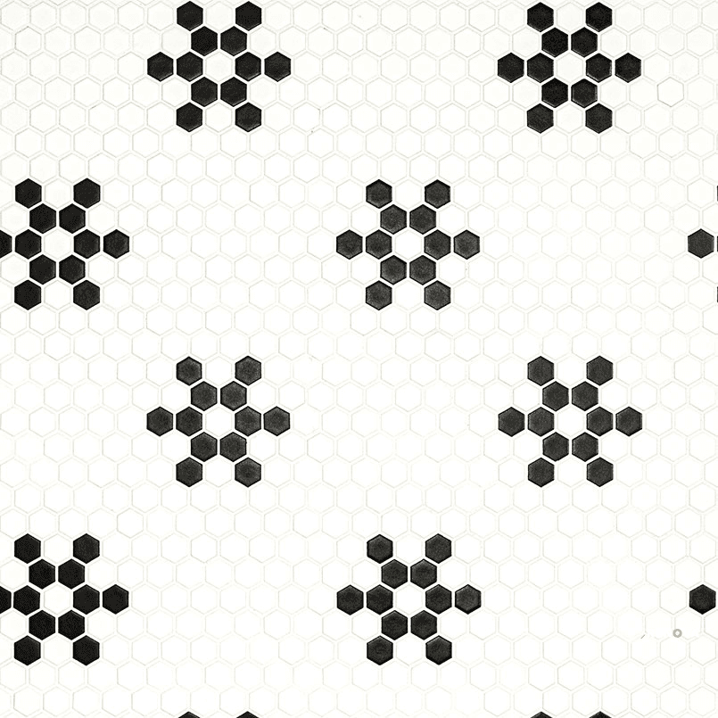 WHITE AND BLACK MOD PETAL PATTERN MATTE ( 14.55 SF PER BOX )