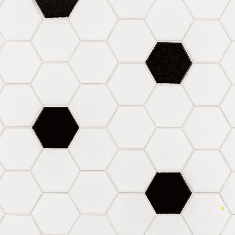 CHAPTER ES - ESSENTIALS WHITE/BLACK MATTE HEXAGON MOSAIC 2"