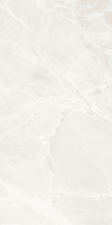 BRASILIA WHITE MATTE 12" X 24"