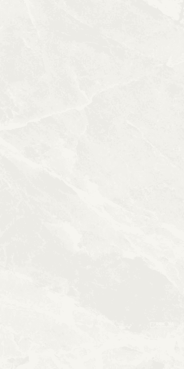 BRASILIA WHITE POLISHED 12" X 24"