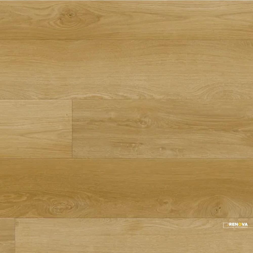 SOUTH ROSE XL LSPC 9" X 60" - PURREP493