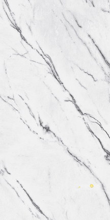 INDULGE MATTE 12" X 24"
