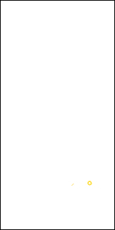 ARTY PLAIN 16" X 32"