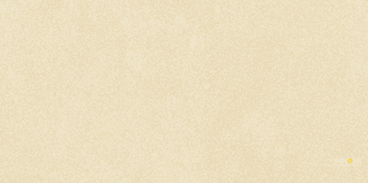 DELUXE 2.0 HONED 12X24
