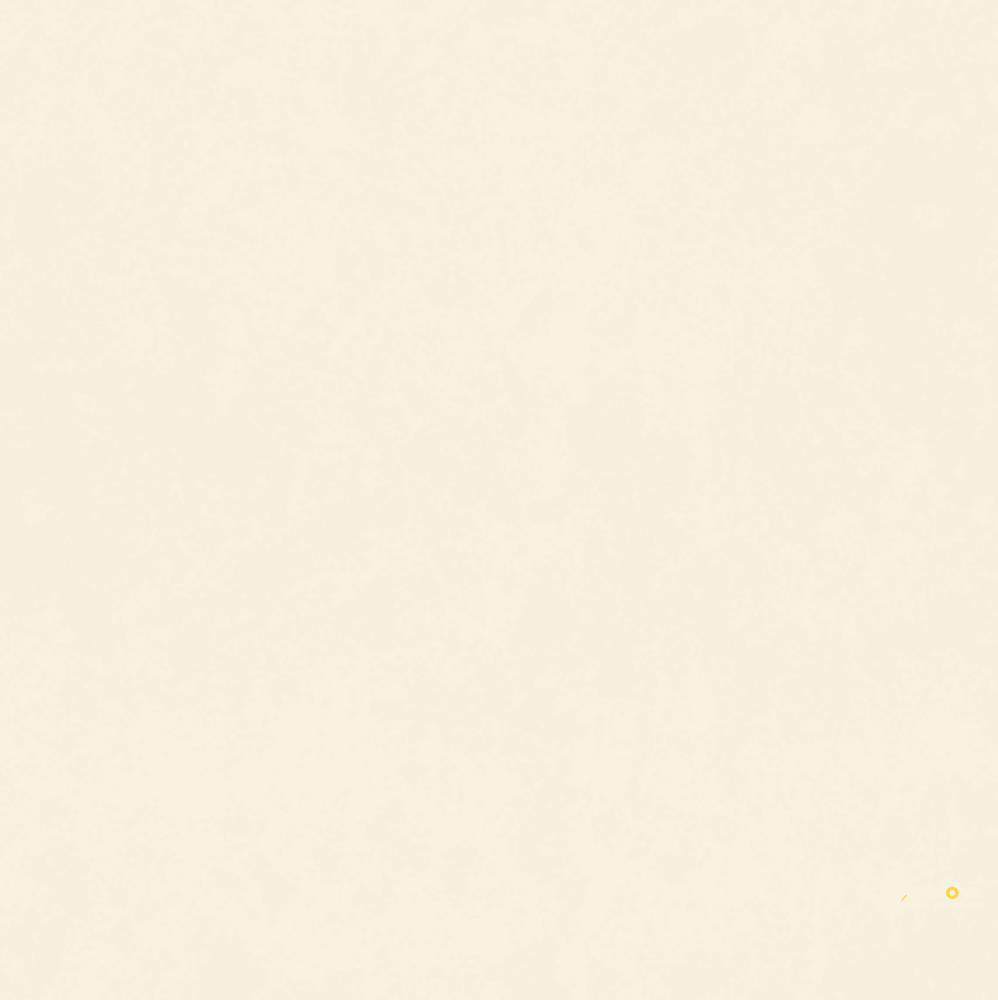 DELUXE 2.0 POLISHED 24X24