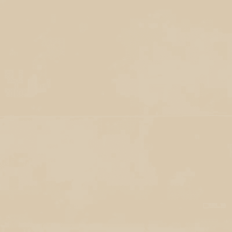 SAHARA MATTE RECTIFIED FIELD TILE 24" X 48"