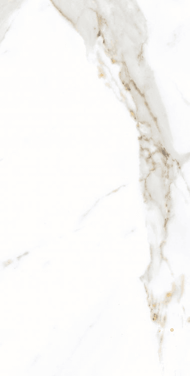 AGL APPIA ORANGE MATTE 12" X 24"
