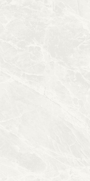 BRASILIA WHITE MATTE 24" X 48"