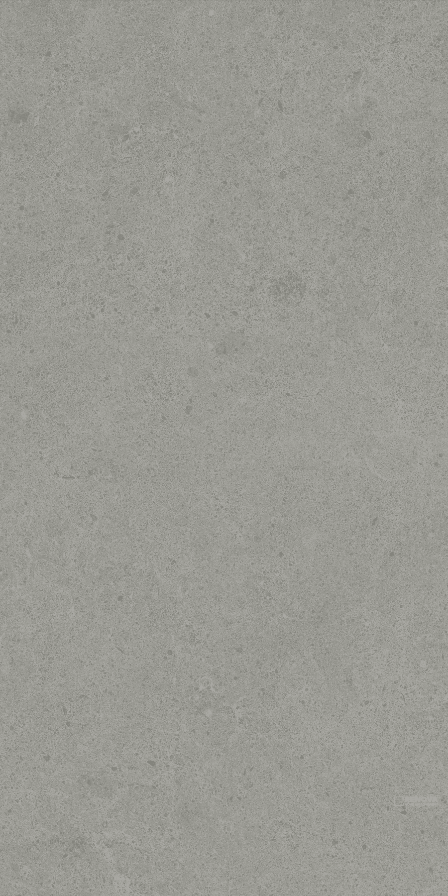 CROSSVILLE ARGENT 2.0 GREY TABBY 12X24 FIELD UNPOLISHED