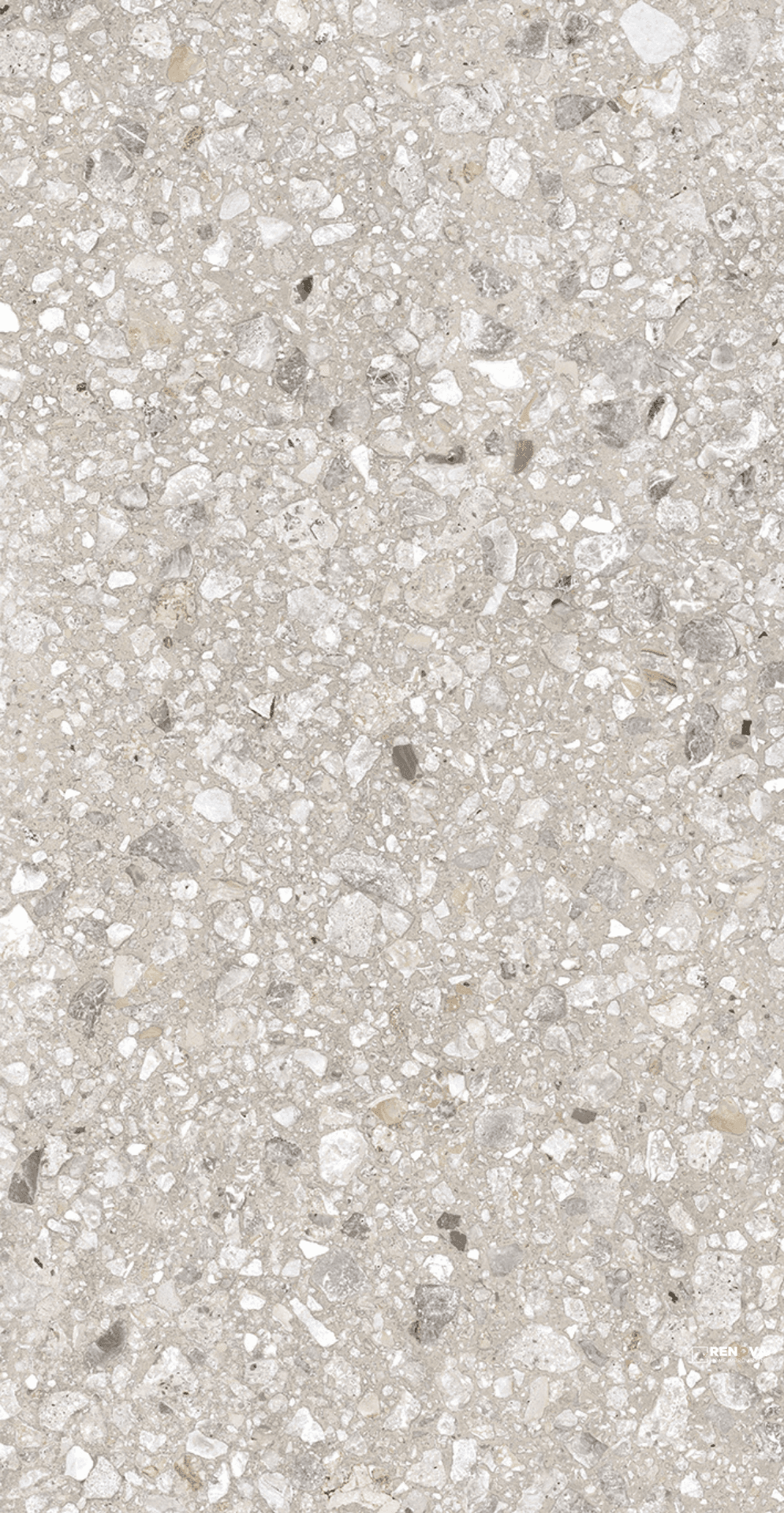 PERENNE SLIM POLISHED 24X47 6MM