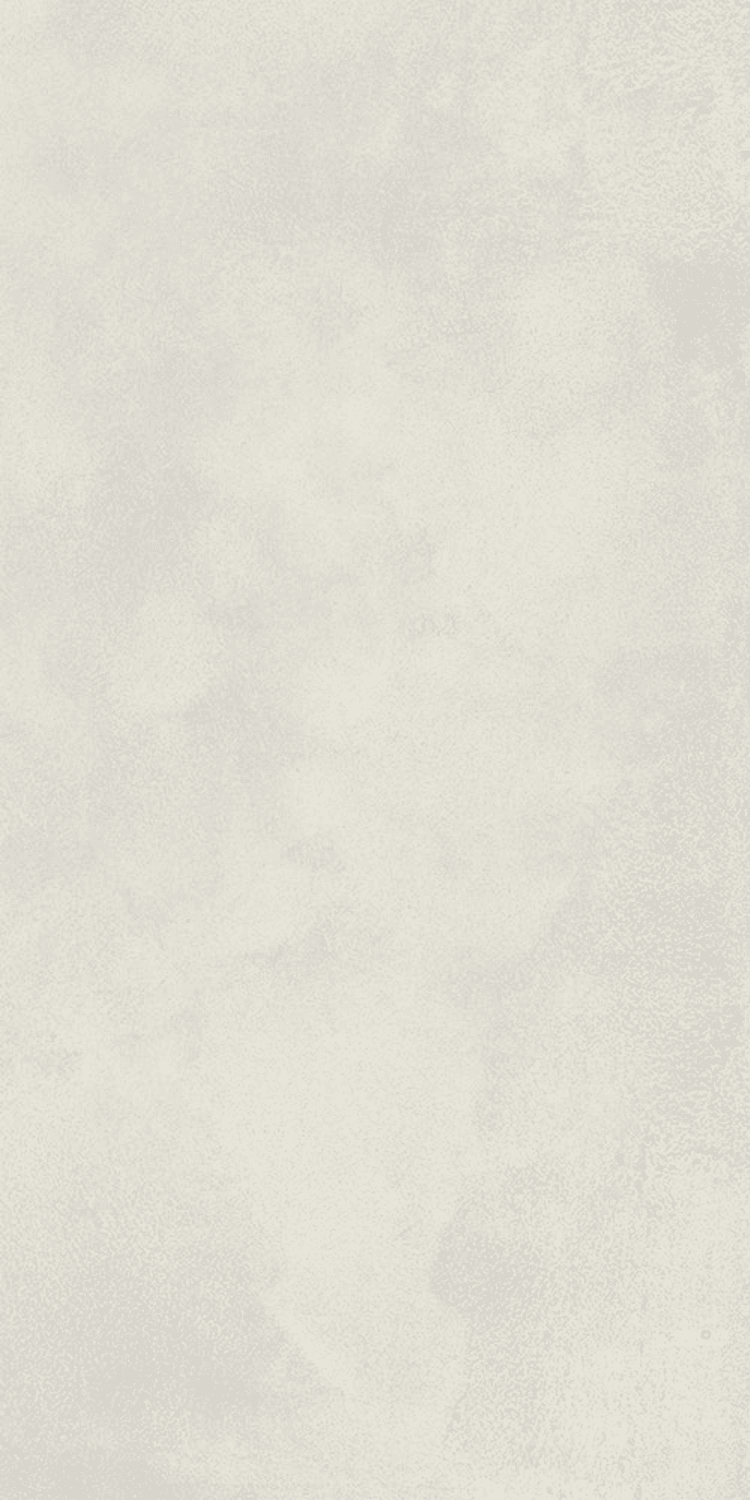 SPECTRA MATTE 12X24
