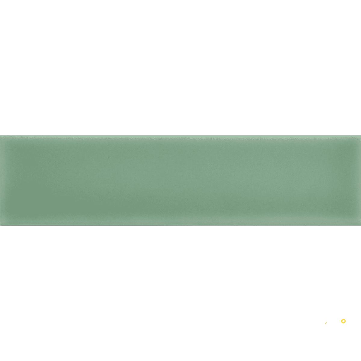 TRIVENI GLOSSY 2X8