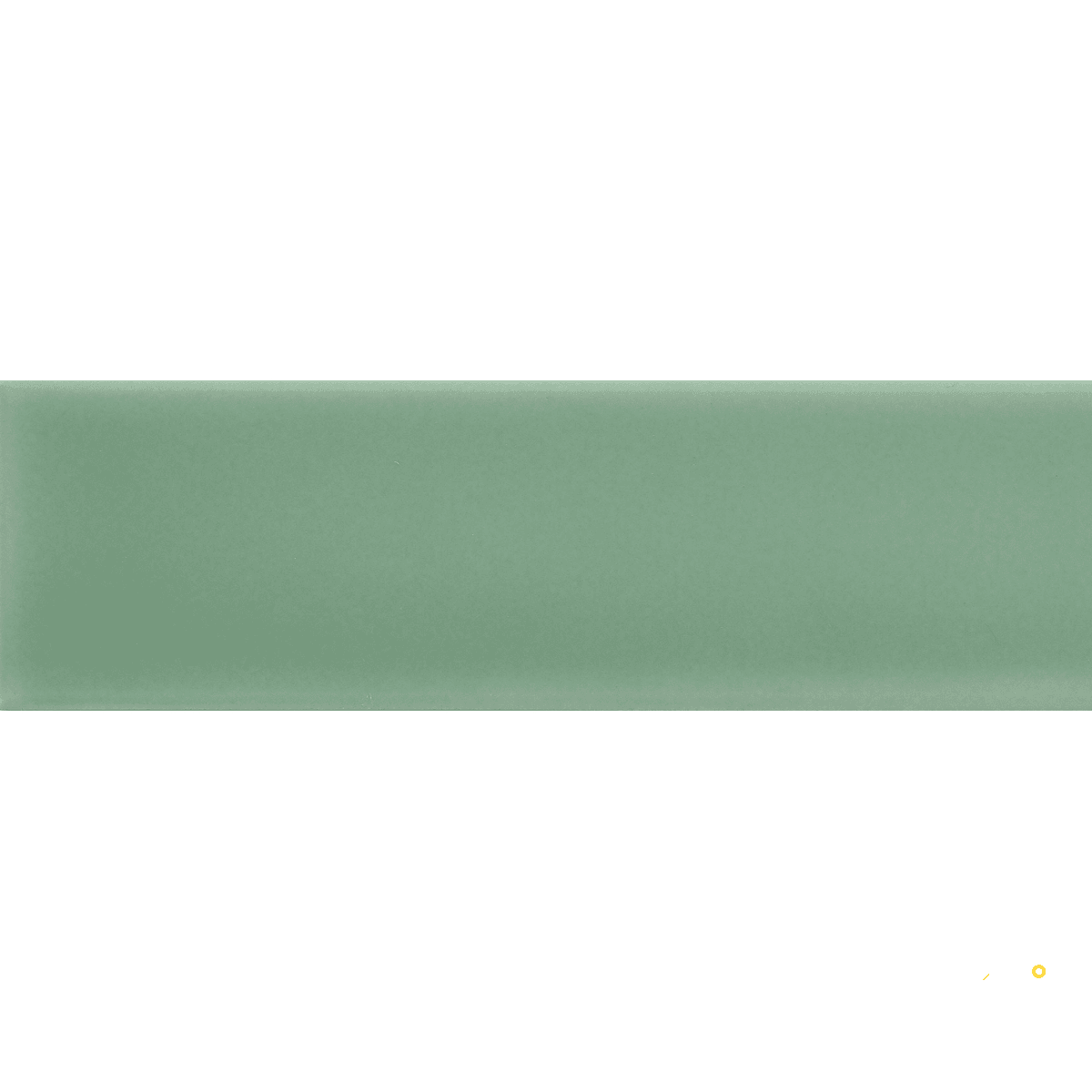 TRIVENI GLOSSY 2X6