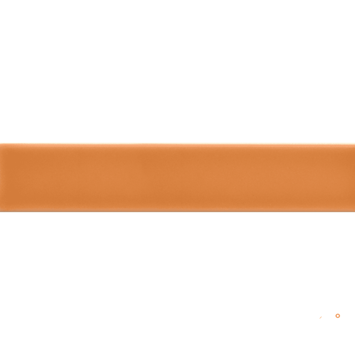 TRIVENI GLOSSY 2X12