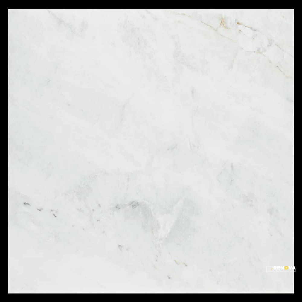 CALACATTA UMBER POLISHED 24" X 24"