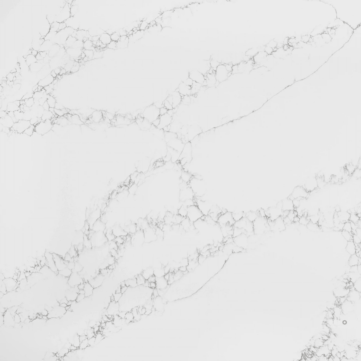 Della Terra Quartz Arabescato Como Countertop Slab