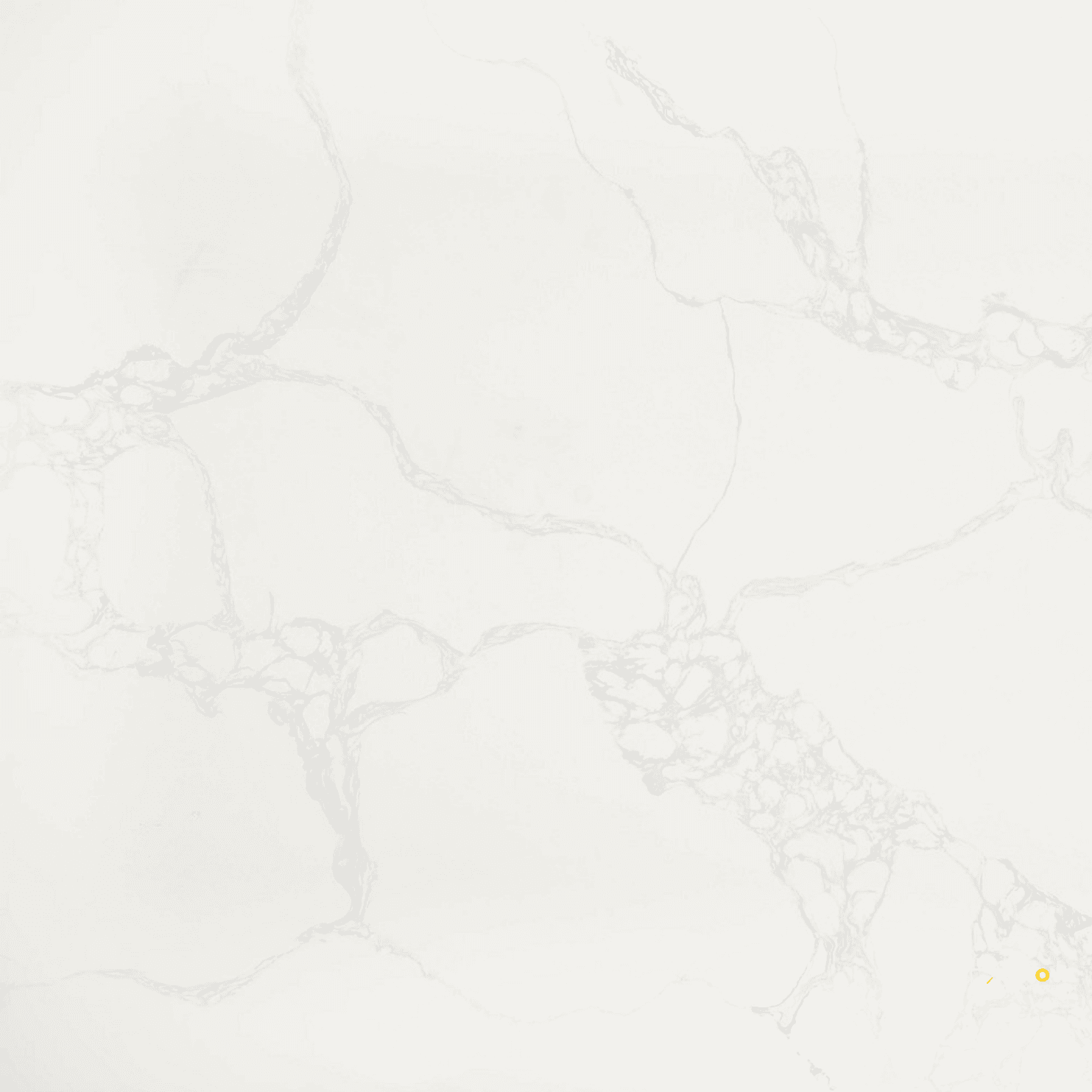 Della Terra Quartz Calacatta Bellatrix Countertop Slab