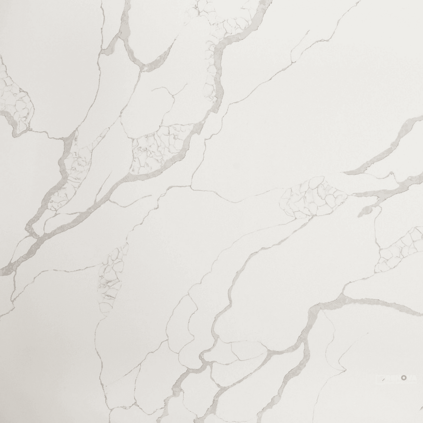 Della Terra Quartz Calacatta Jubilee Countertop Slab