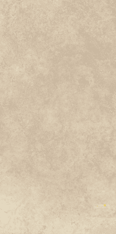 ARBIA SAND MATTE 24" X 48"