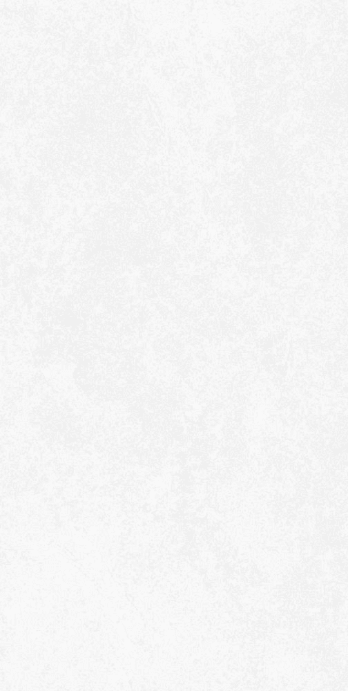 BABILON ARCTIC MATTE 24" X 48"