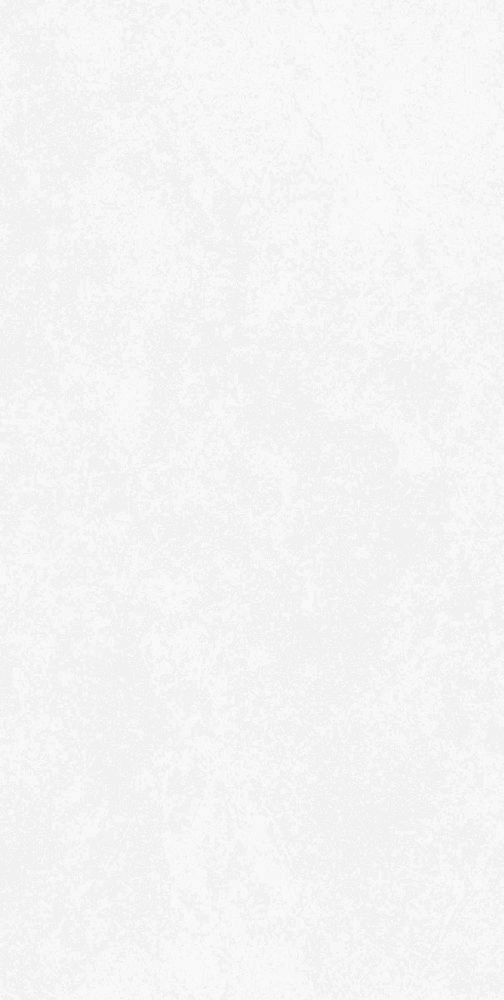 BABILON ARCTIC MATTE 12" X 24"