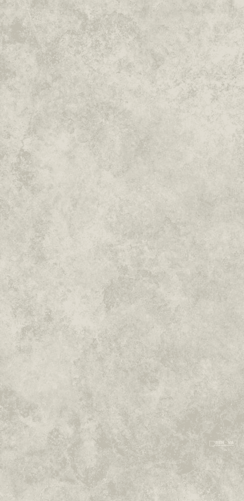 ARBIA GREY MATTE 24" X 48"