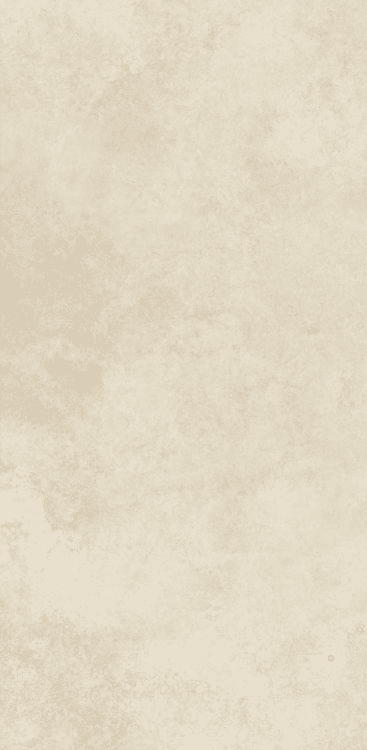 ARBIA IVORY MATTE 24" X 48"