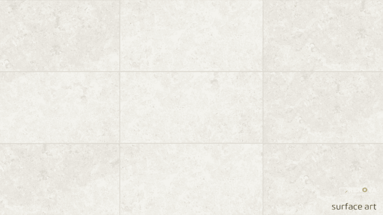 COLISEO MATTE 12" X 24"