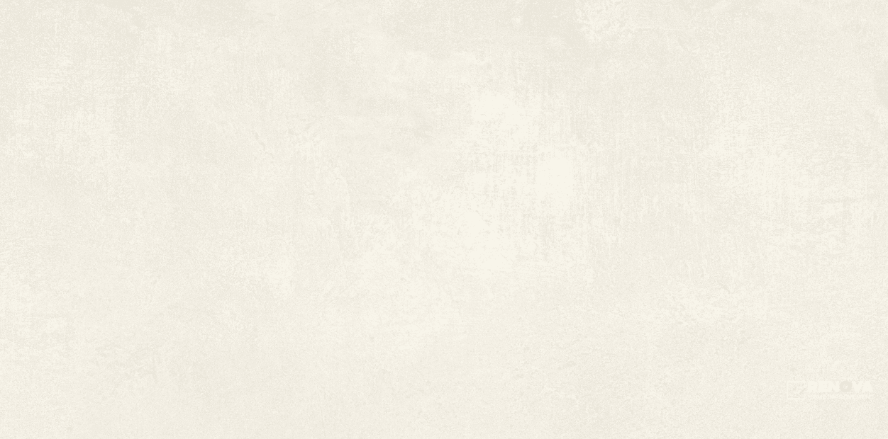 CANYON MATTE 12" X 24"