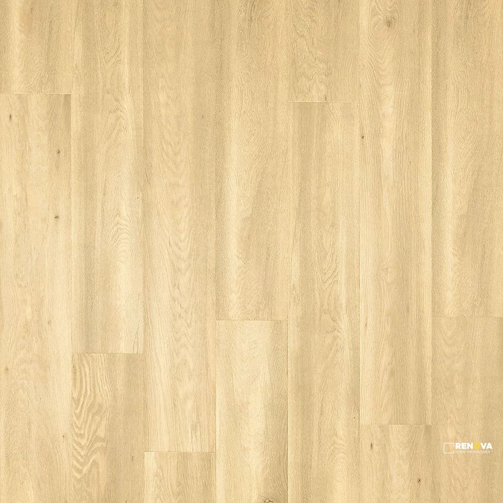 MIRAMAR SHORES 8.34" X 54.34