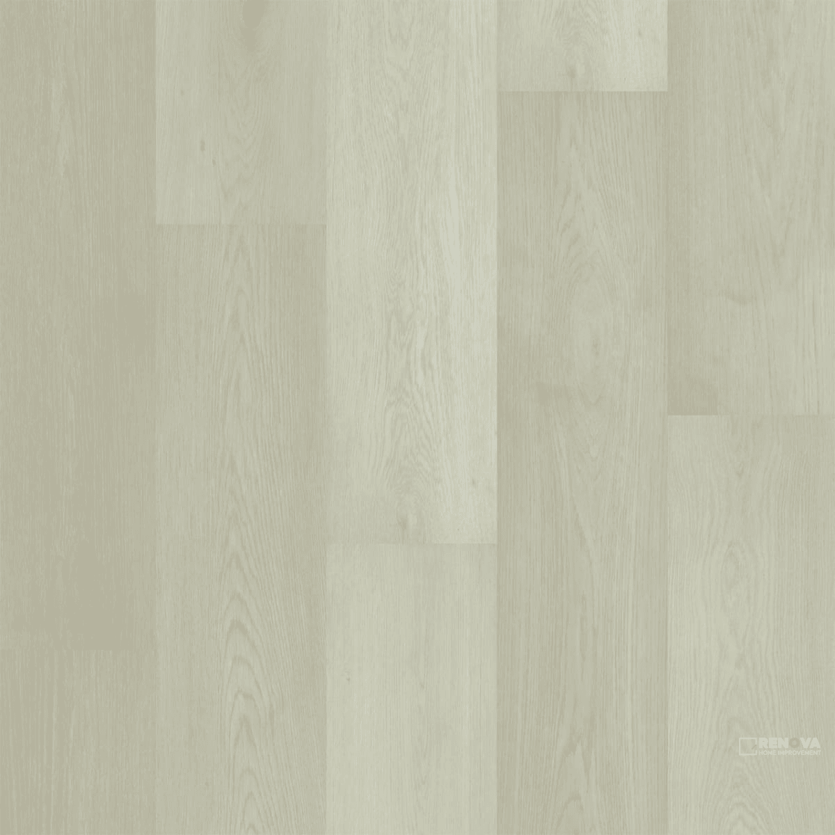 PREFERENCE PLANK 9.06" X 61.34"