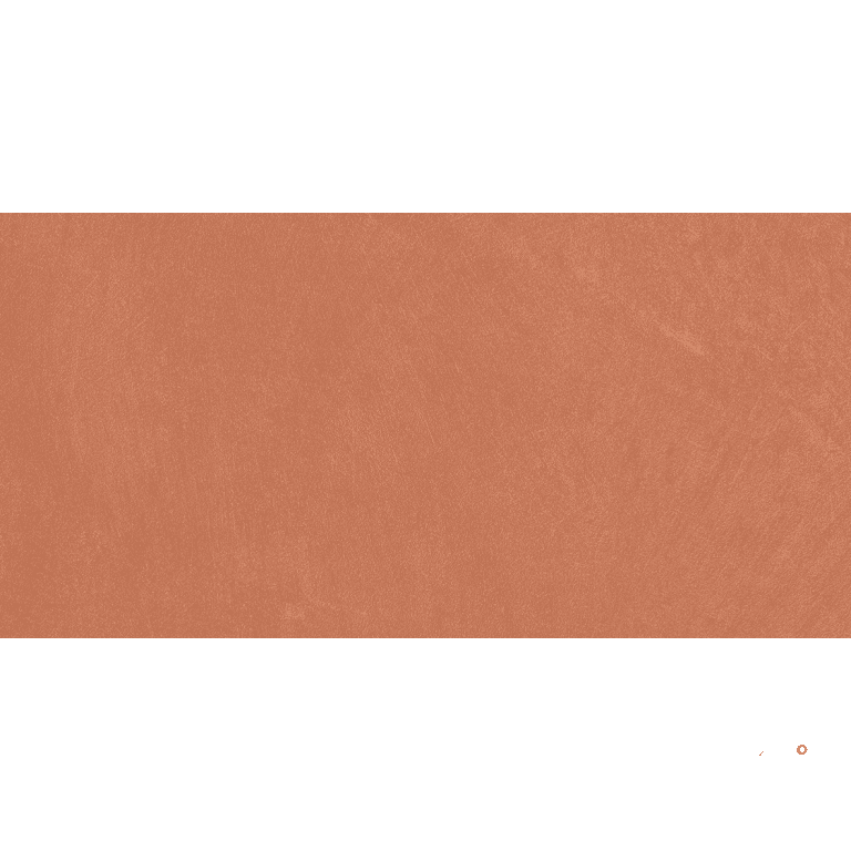 CLAYTONE MATTE 12X24