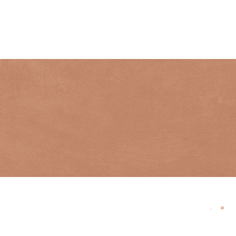 CLAYTONE MATTE 12X24