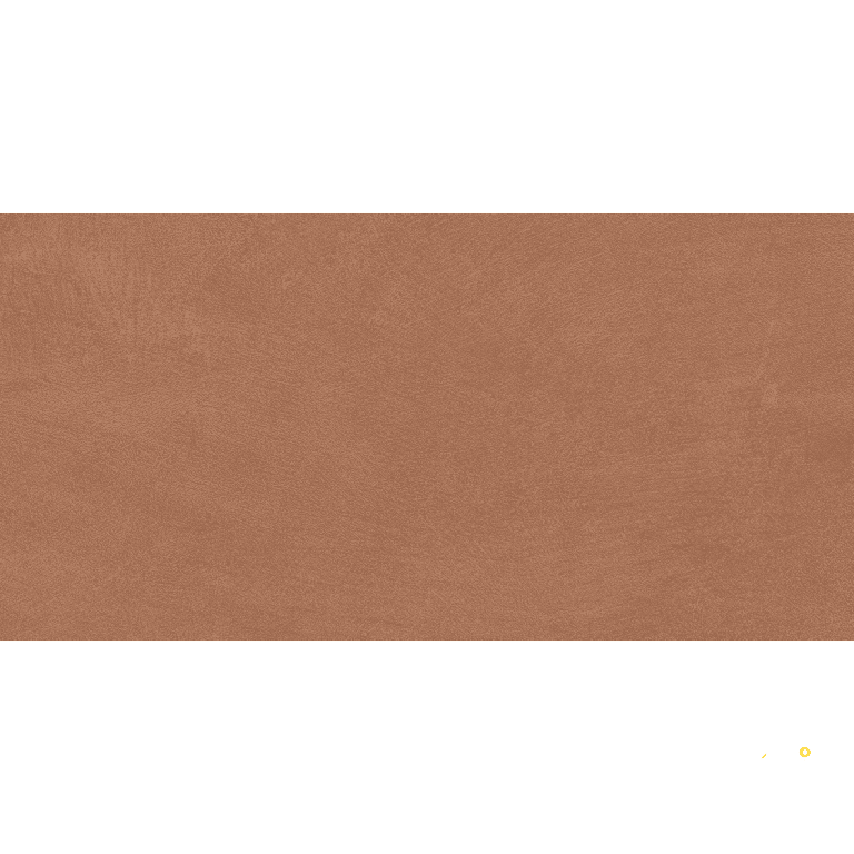 CLAYTONE MATTE 12X24