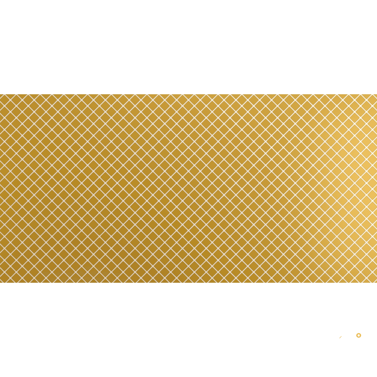 VECTORA GLOSSY 24X47