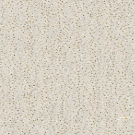 PRIME MATTE 12X24