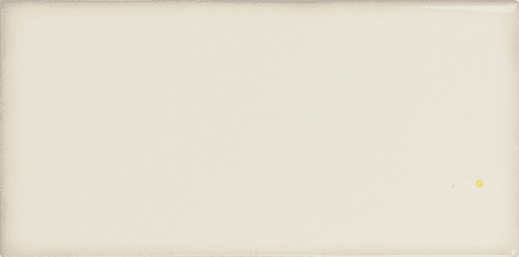 WOW YOKO 2.5" X 5"
