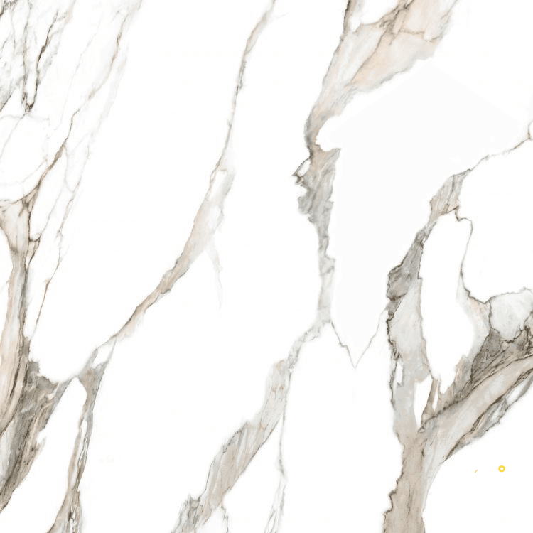 CALACATTA FANTASY TOPO POLISHED 48" X 48"