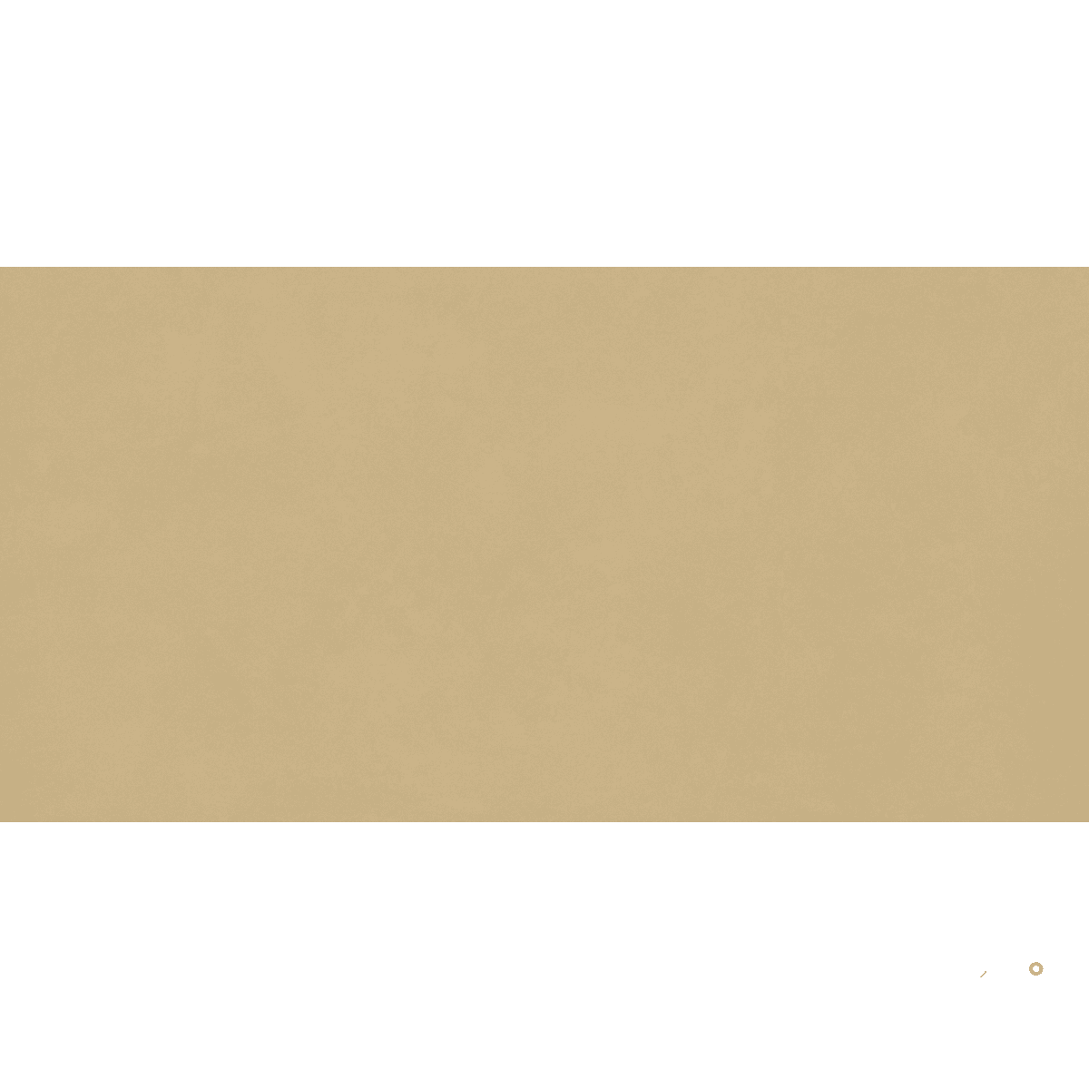 AGIO SLIM MATTE 12X24