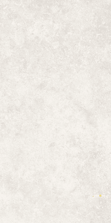UNTAMED WANDER WHITE 12" X 24"