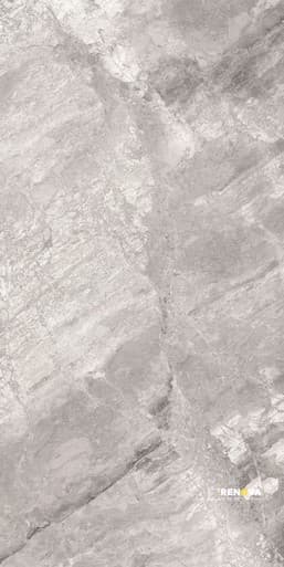 SUPREME SILVER NATURALE 24" X 48"