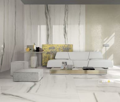 PREXIOUS WHITE FANTASY MATTE 24" X 48" - ELYTIL1622