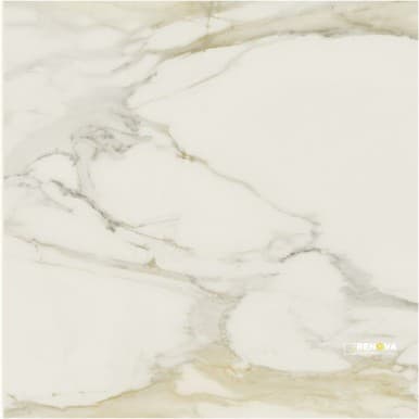 CLASSICI CALACATTA GOLD MATTE 48" X 48"