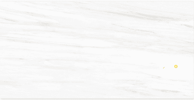 LASSA WHITE POLISHED 24" X 48"