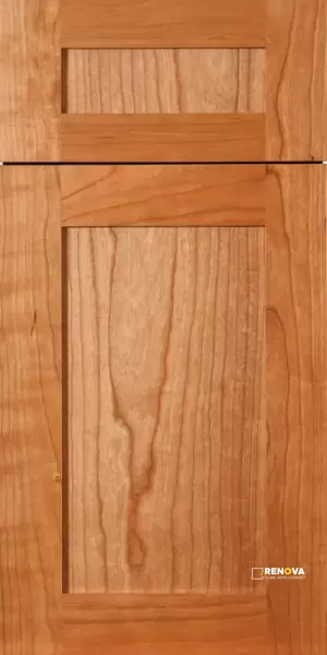Shaker - DLX - 1900 Series Cabinet Door