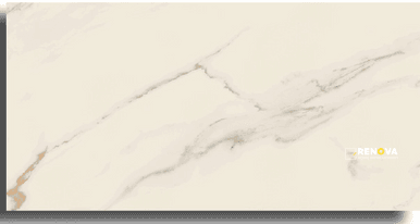 MOTIF POLISHED 12" X 24"
