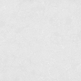CALICO WHITE
