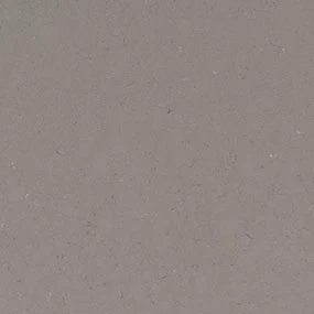 FOSSIL GRAY